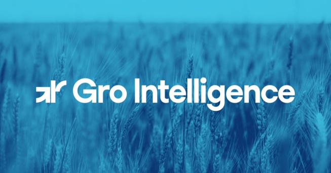 Kenya : La startup agro-technologique, Gro Intelligence, met la clé sous la porte